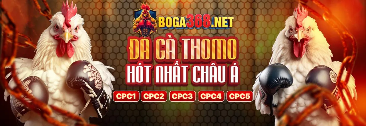 Sân vận động với ánh đèn rực rỡ và hành động thể thao sôi động, tượng trưng cho cá cược thể thao tại ok789 trang chủ chính thức
